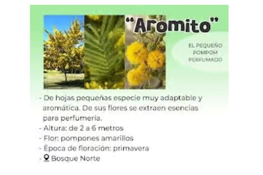 Aromito. Foto: Municipalidad de Firmat.