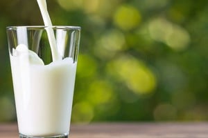 La leche proporciona nutrientes esenciales y es una fuente importante de energía alimentaria.