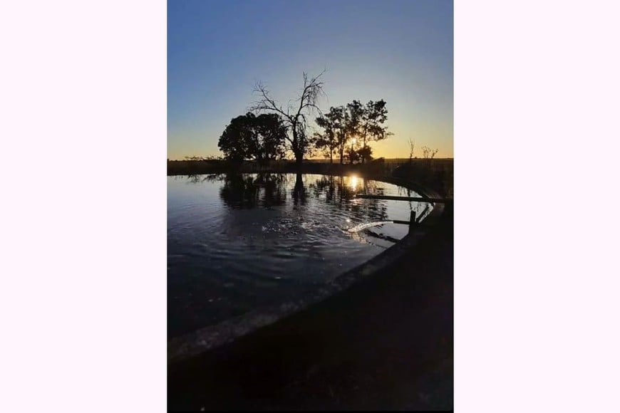 La mención "La Fich va a la escuela" fue para la foto Espejo de agua, de Jorge García Conti (ESSOPI 8115 San Antonio, Gobernador Crespo). Gentileza Fich