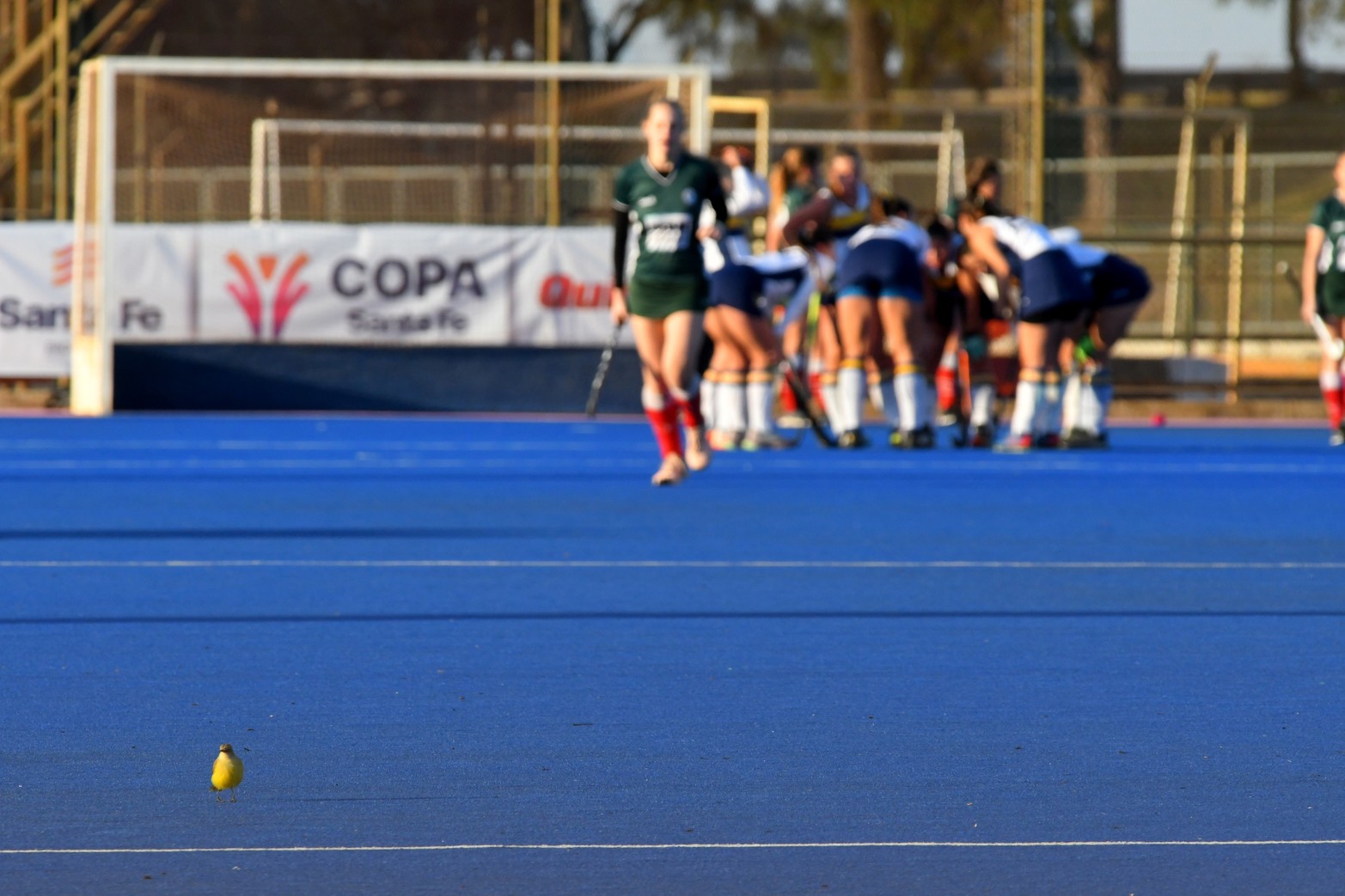 Este sábado se jugaron partidos por cuartos y semifinal del torneo de hockey femenino por la Copa Santa Fe