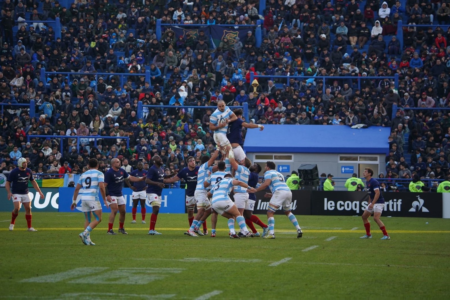 Gran triunfo de Los Pumas ante Francia. 