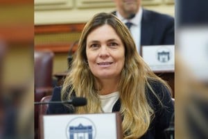 La diputada provincial Silvana Di Stefano.