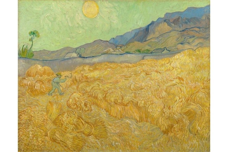 "Campo de trigo con segador". Foto: Museo van Gogh