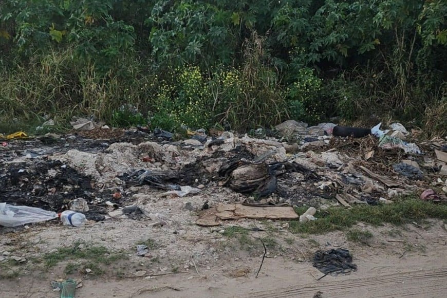 El apercibimiento no se agotó en la mera sanción pecuniaria de los hechos, sino también a la reparación del daño medioambiental. Gentileza