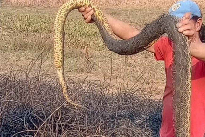 Importantes daños en la flora y fauna de la región.