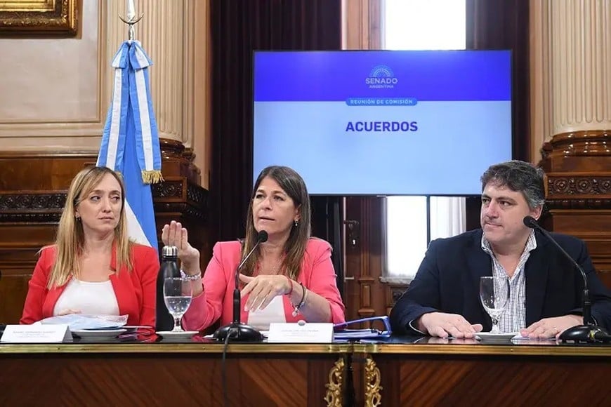 Fernández Sagasti, Tagliaferri y Paoltroni: figuras clave de un debate que empezará en la comisión de Acuerdos del Senado y culminará en el recinto.