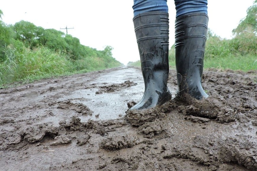 La iniciativa propone que los productores agropecuarios contribuyan con parte del gasto en la reparación y mejora de caminos rurales.