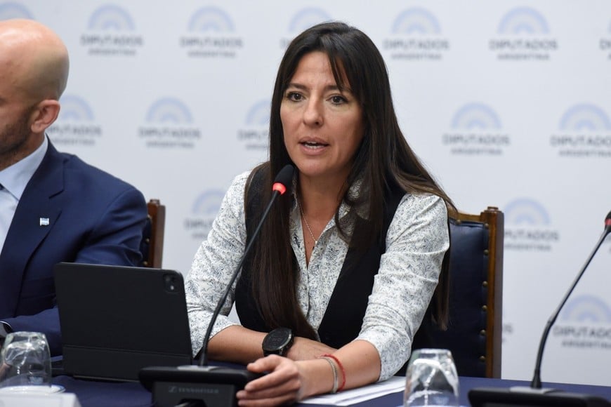 La comisión de Transportes es presidida por la diputada mendocina Pamela Verasay (UCR)