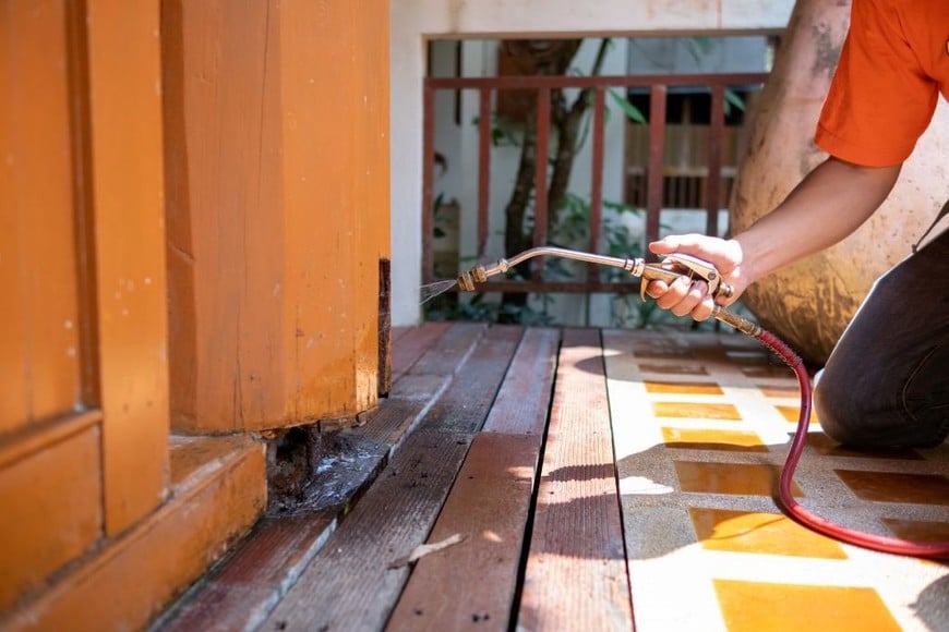 Muebles de madera dañados o debilitados, que ofrecen un punto de entrada fácil para las termitas.