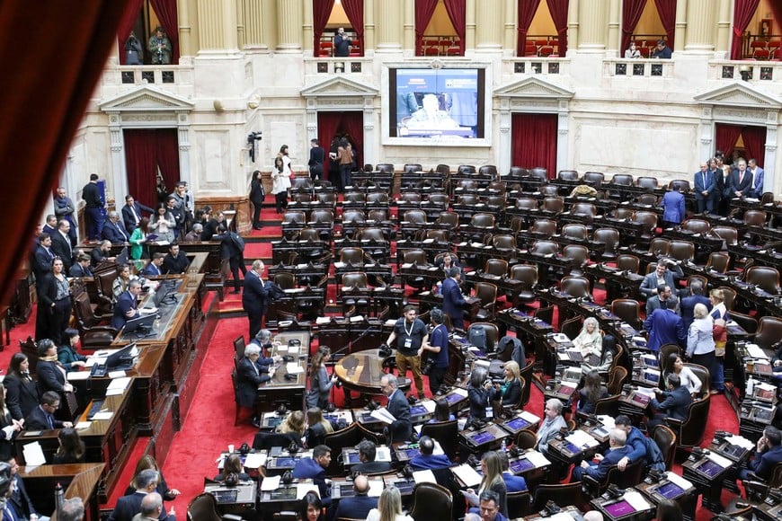 diputados