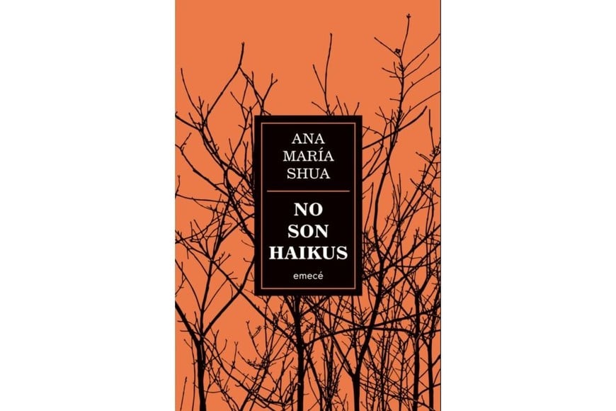 Portada de “No son haikus”, de Ana María Shua.