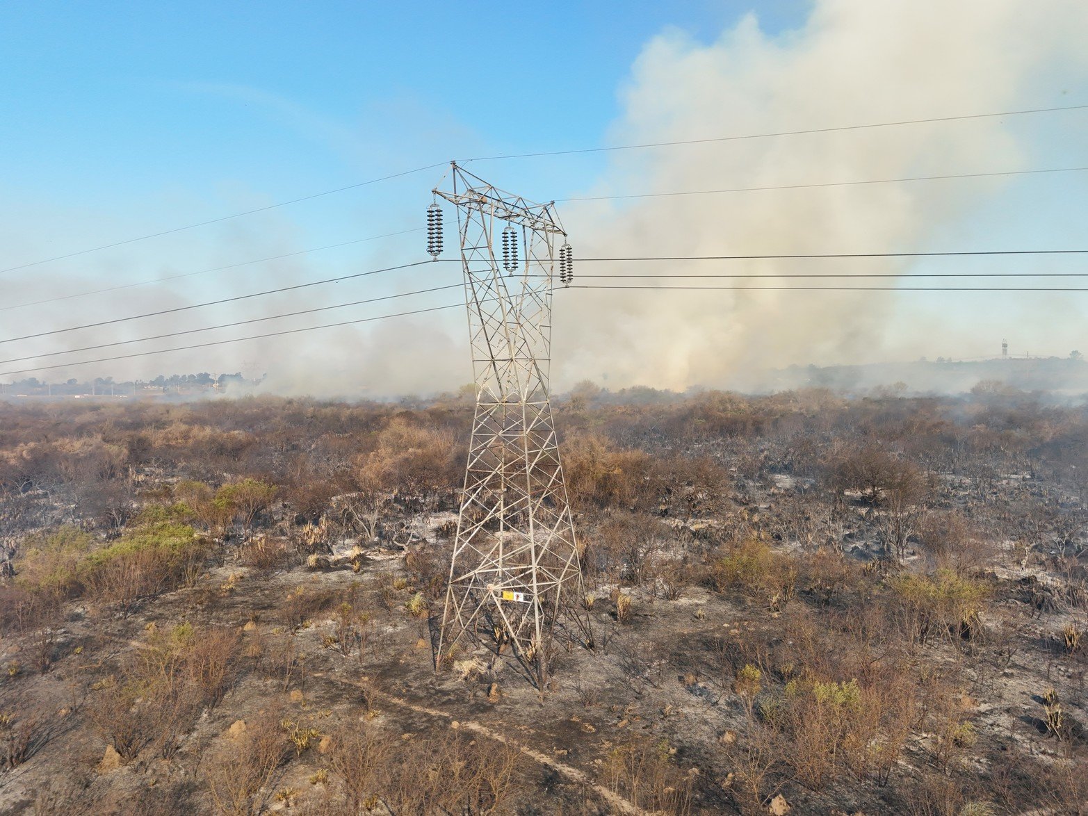 Incendio a la vera de la autopista Santa Fe - Rosario.