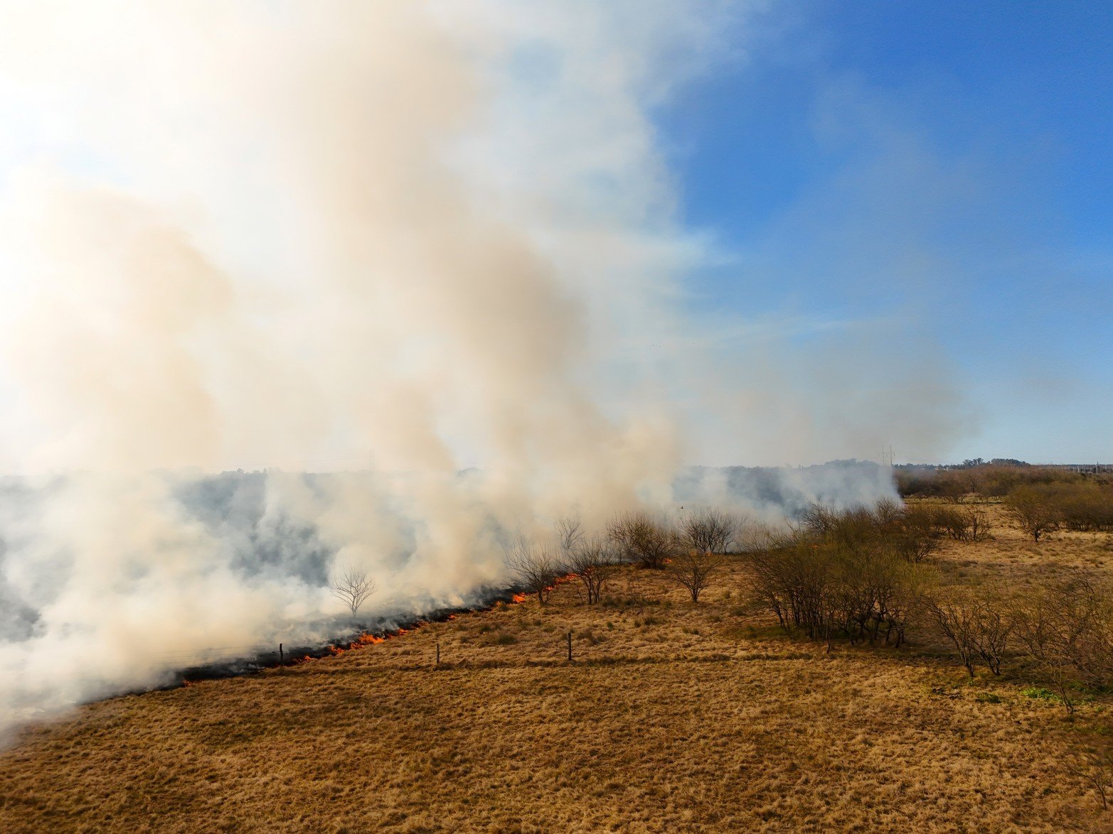 Incendio a la vera de la autopista Santa Fe - Rosario.