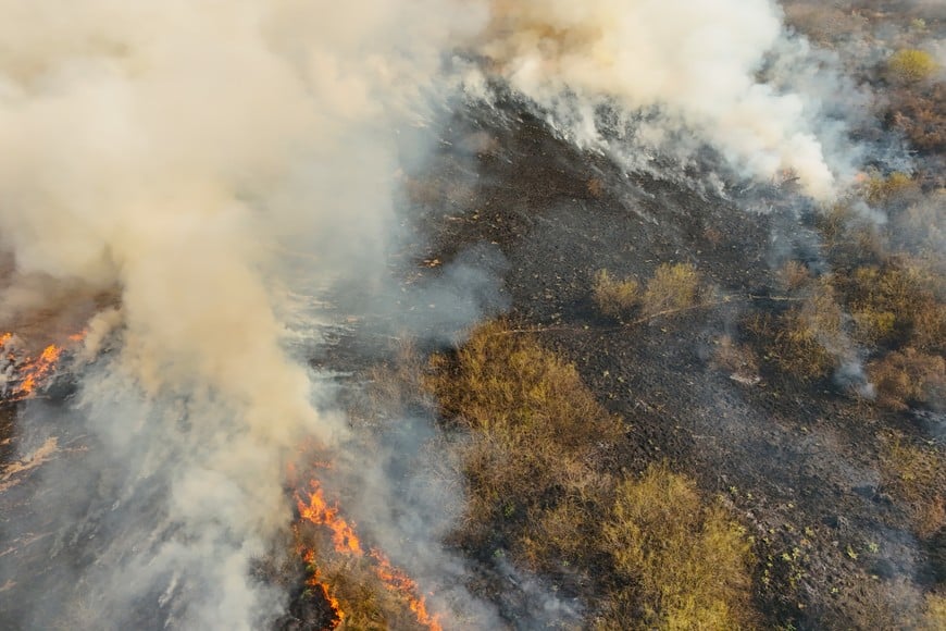 Incendio a la vera de la autopista Santa Fe - Rosario