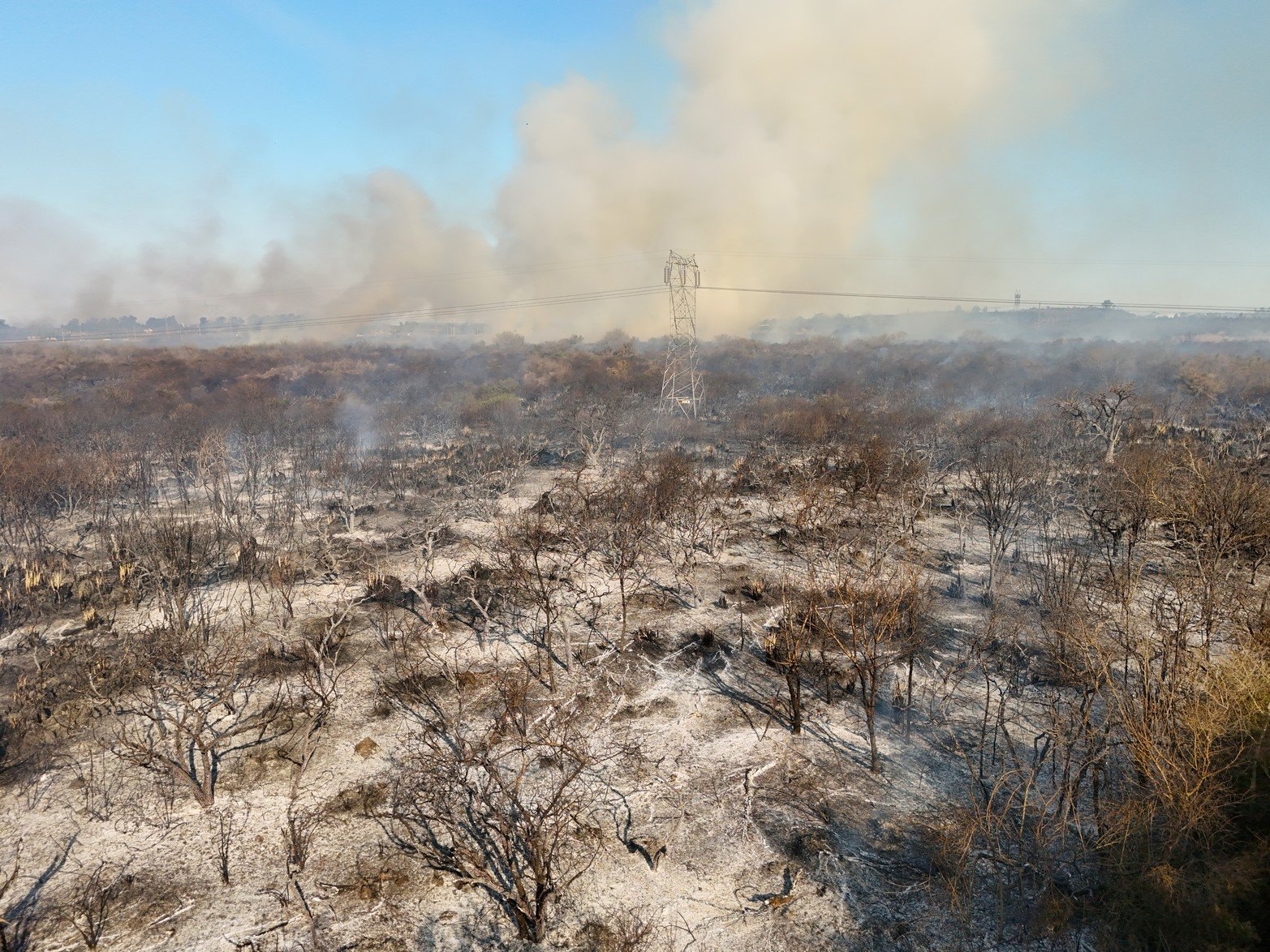 Incendio a la vera de la autopista Santa Fe - Rosario.