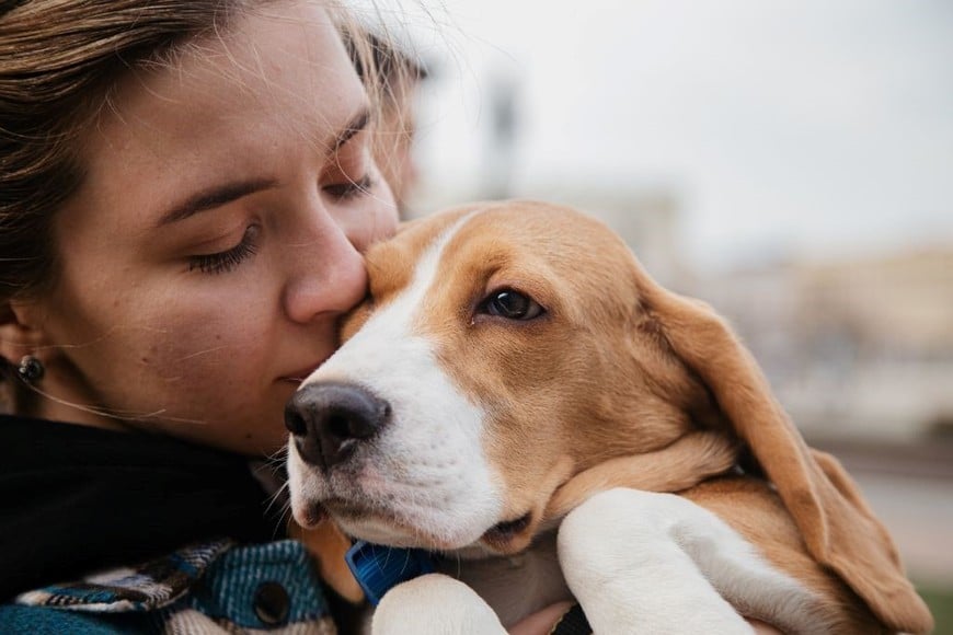 Cada paseo es una oportunidad para que tu perro use su memoria espacial y explore su entorno con confianza.