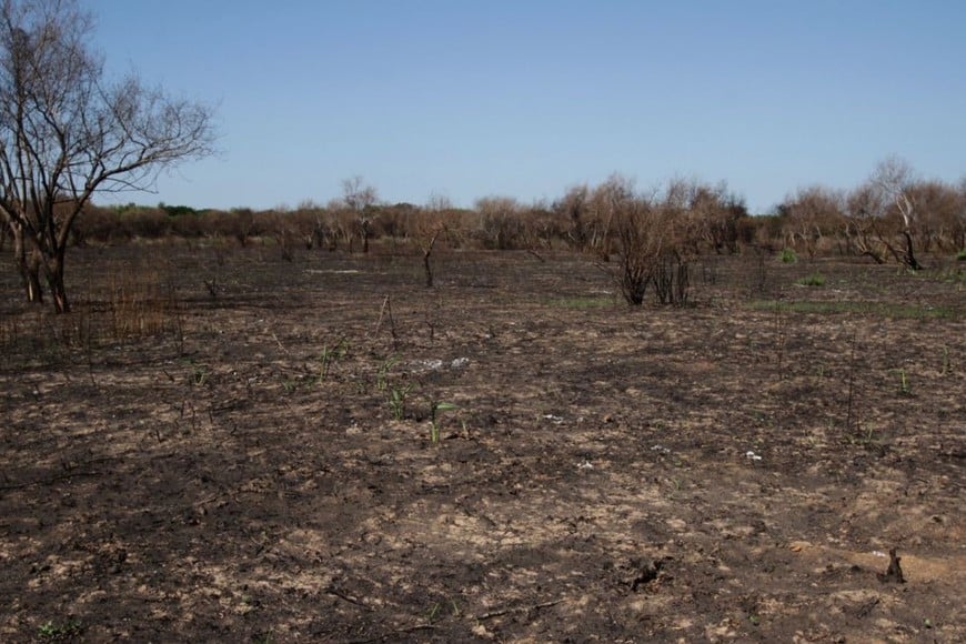 Hay muchos factores que inciden en los sucesos del fuego