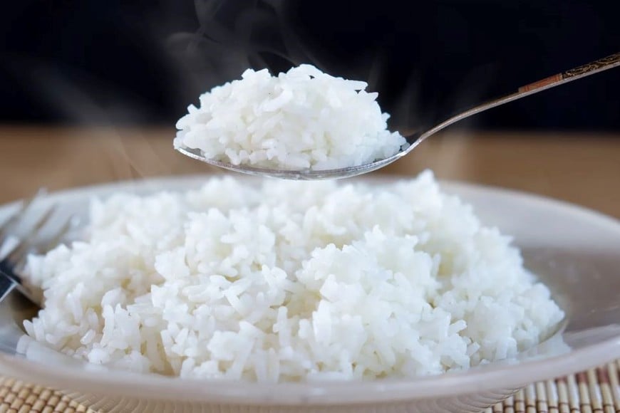 El arroz es una de las fuentes más importantes de nutrición.