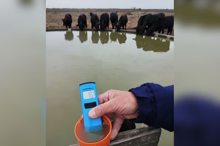 La Niña llega con un anuncio de sequía para la primavera en el norte santafesino