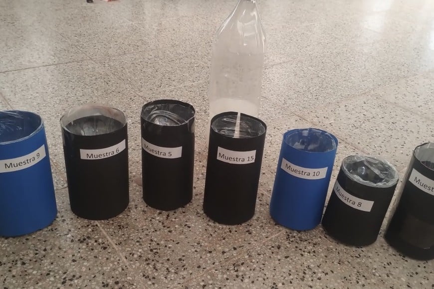 El grupo de alumnos se encargó de colocar de forma estratégica tramperas artesanales confeccionadas con botellas descartables en diferentes áreas.