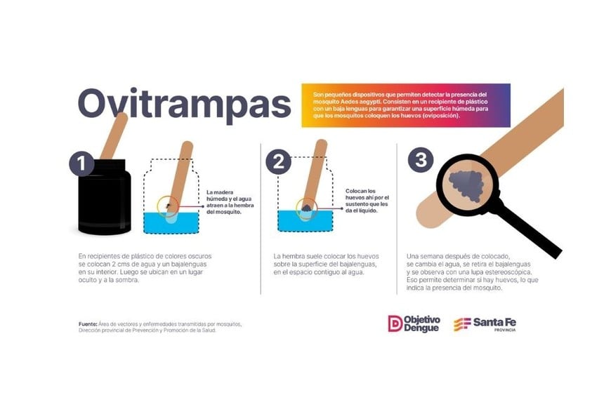 La detección temprana de huevos de Aedes aegypti es crucial.