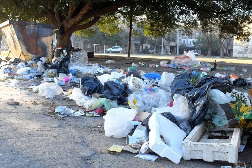 La gestión de los residuos es una problemática que acarrea la ciudad desde hace varios años. Foto: Guillermo Di Salvatore.