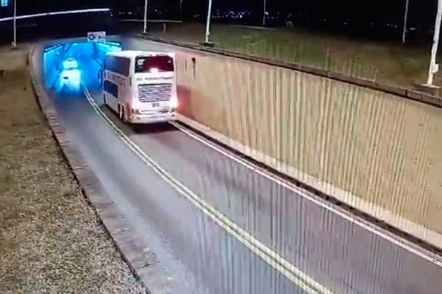 Un auto y un colectivo vieron de frente al capibara.