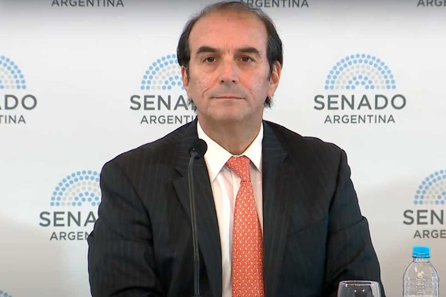 Manuel García - Mansilla este miércoles en audiencia pública. Crédito: Senado de la Nación