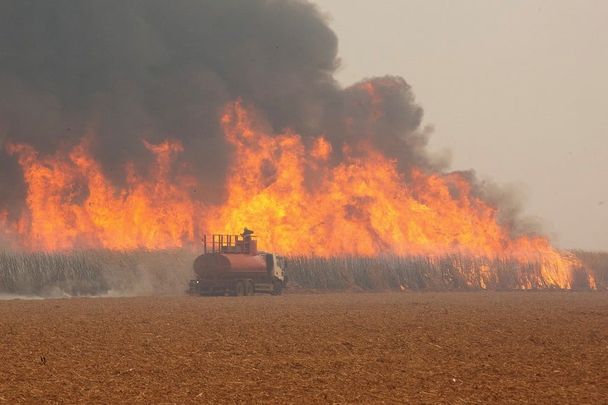 FILE PHOTO: A fire fighter tries to put out fire in a sugar cane plantation near Dumon city, Brazil, August 24, 2024. REUTERS/Joel Silva/File Photo