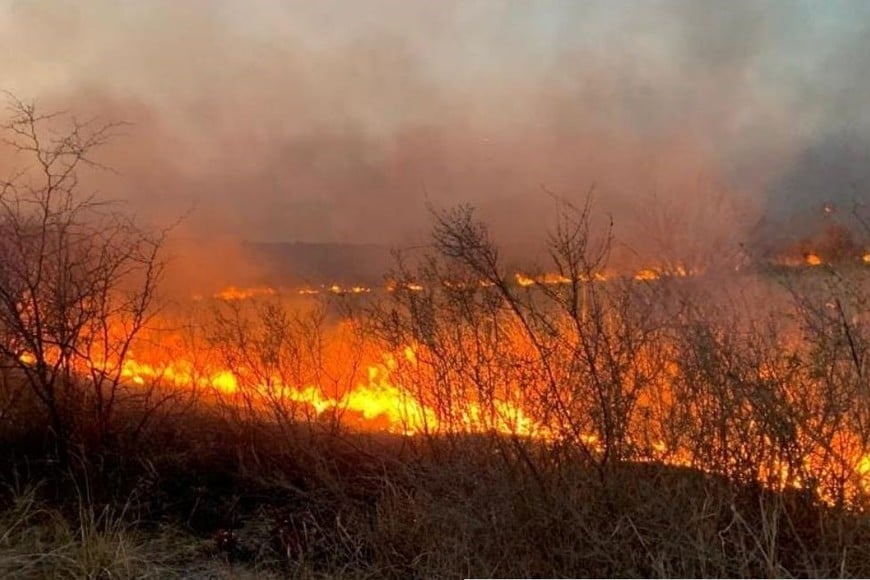 En el lugar hay 170 bomberos trabajando con 30 equipos de diferentes cuarteles de toda el área metropolitana.