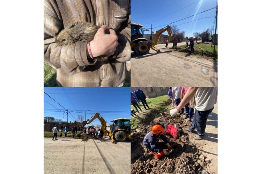 Secuencia del trabajo de Bomberos junto al área de Servicios Públicos municipal.