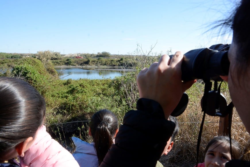 El lugar es de suma importante para la biodiversidad de Santa Fe y su región.