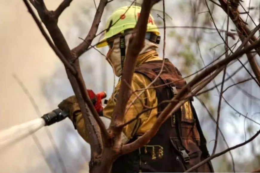 Muchos casos, se debe a la imprudencia humana al quemar pastizales, lo que genera focos de incendio fuera de control.