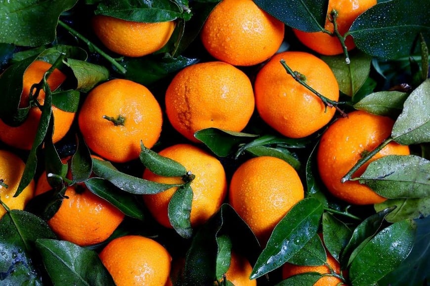 Fortalece tus huesos con la vitamina C de las naranjas.