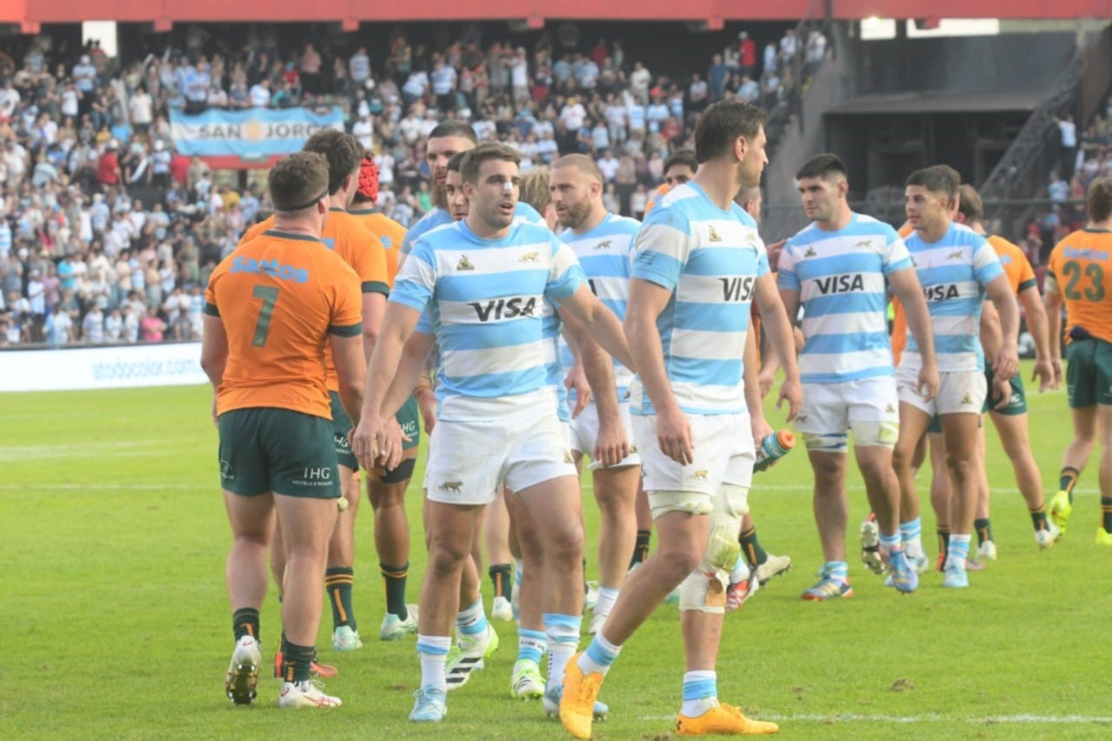 Final del partido entre los Pumas - Wallabies.