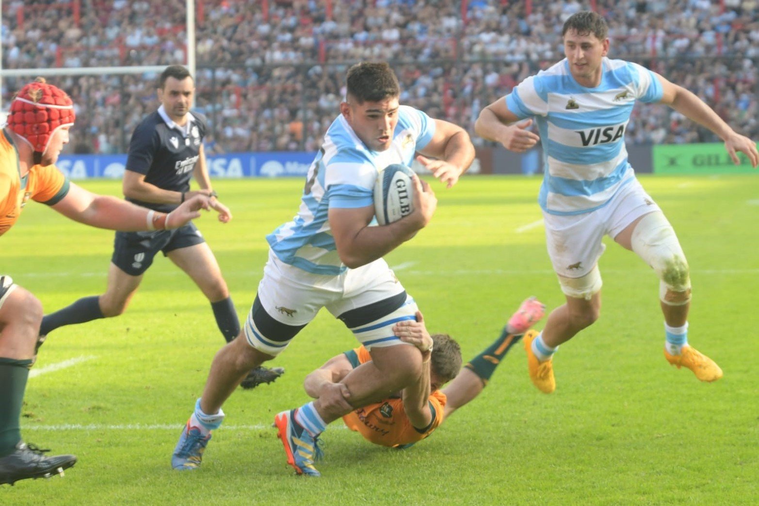 Tomás Albornoz en un vibrante segundo tiempo entre los Pumas y Wallabies