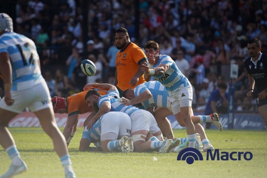 Golearon Los Pumas en Santa Fe: Galería Macro