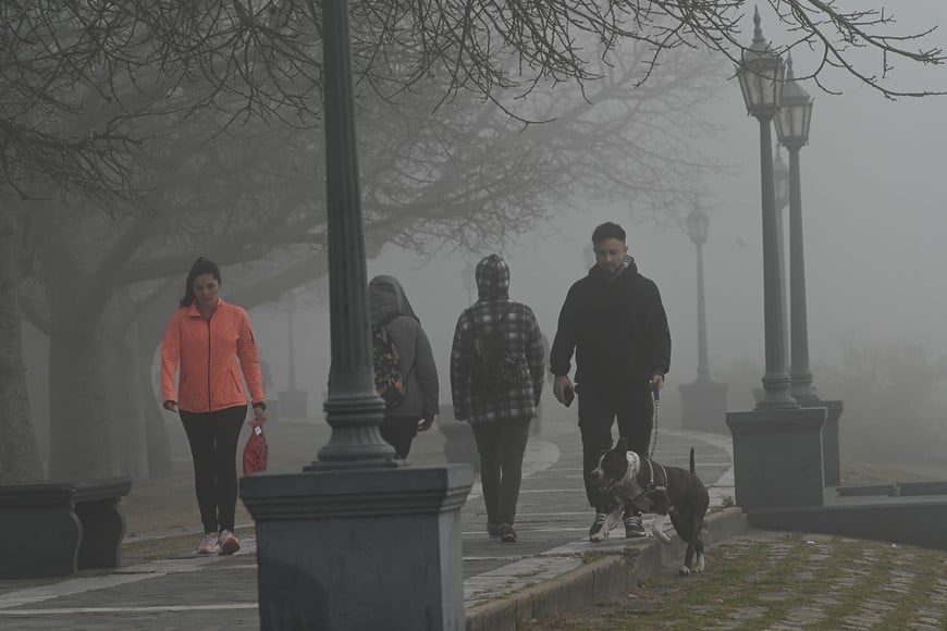 Intensa niebla este martes en la mañana. Crédito: Flavio Raina