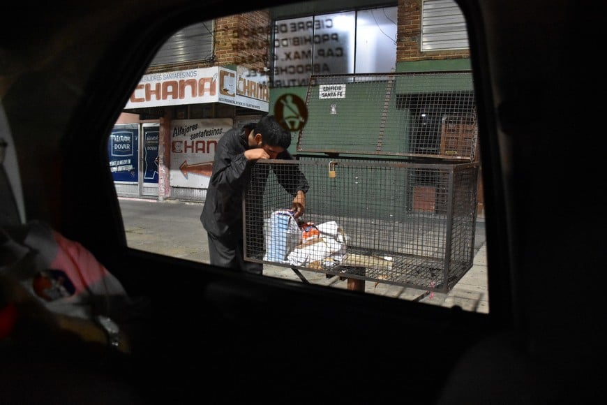 Revolver las bolsas de residuos en busca de comida, una postal dramática que se ve a diario.