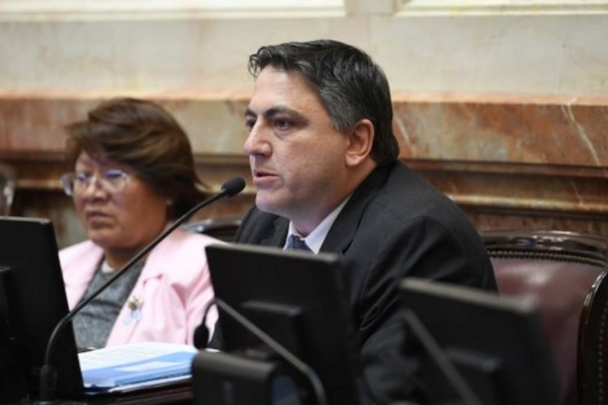 Paoltroni votó a favor del DNU, a pesar de sus críticas públicas a Santiago Caputo. Crédito: Senado de la Nación