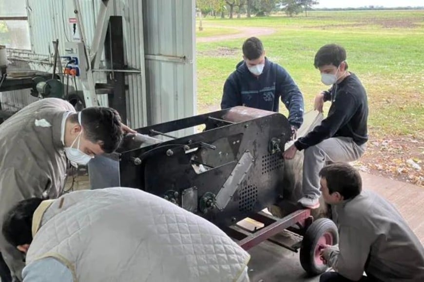 Desarrollan una máquina para el desmotado de algodón en pequeña escala