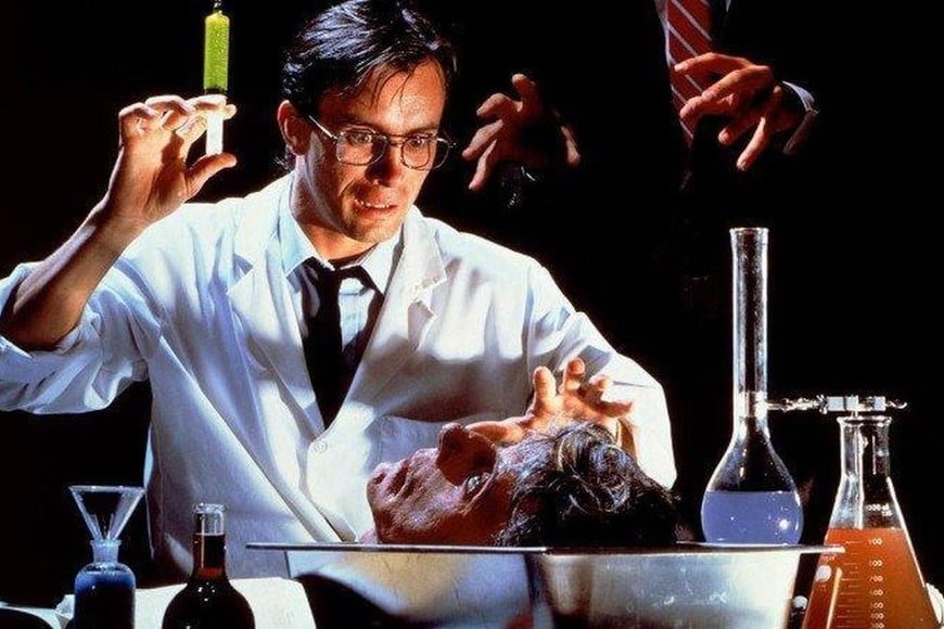 "Re animator". Foto: Empire Pictures, Re-Animator Productions Inc