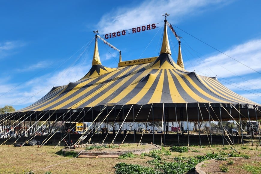 Leda iba a presentarse en el debut del Circo Rodas.