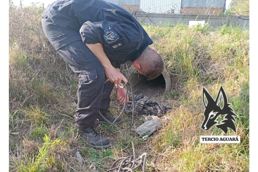 Parte del procedimiento policial.