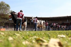 Una renovada Expo Rural de Rafaela brilló en su edición 117°