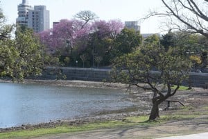 Así quedó el extremo norte del lago del sur. Luis Cetraro