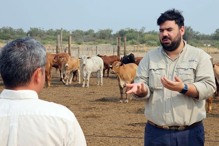 Ganadería: criadores cordobeses fueron a Paraguay a ver cómo se producen 300 kilos de carne por hectárea