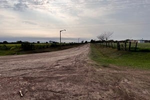 “Seguimos trabajando con esfuerzo y dedicación para que San Agustín crezca y avance en infraestructura esencial, siempre pensando en el bienestar de nuestra comunidad”, destacó Osta.
Foto: El Litoral