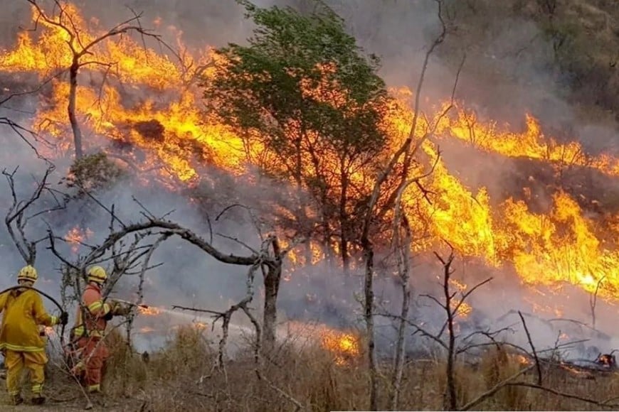 Durante la noche del lunes 800 bomberos trabajaron en las zonas afectadas