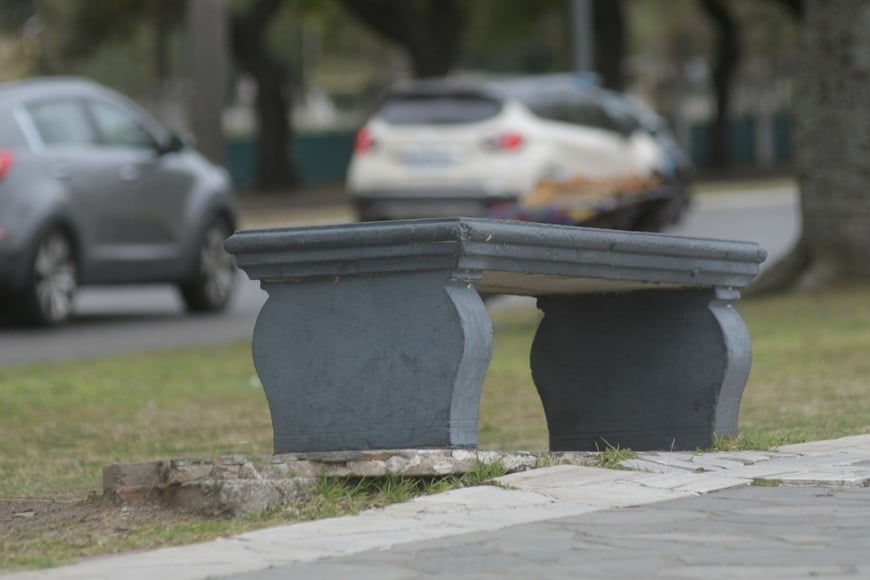 Un banco, liberalmente levantado por las raíces de los árboles que circundan la